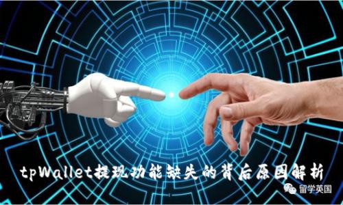 tpWallet提现功能缺失的背后原因解析