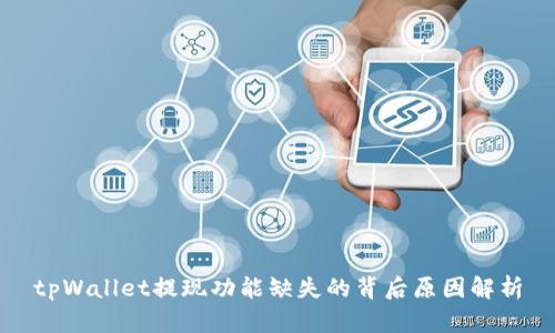tpWallet提现功能缺失的背后原因解析