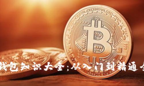 虚拟币钱包知识大全：从入门到精通全面解析