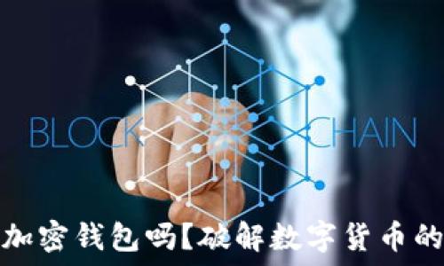   
中国能用加密钱包吗？破解数字货币的未来之路