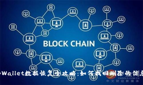 tpWallet数据恢复全攻略：如何找回删除的信息？