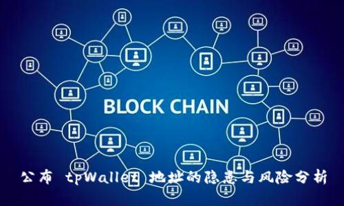 公布 tpWallet 地址的隐患与风险分析