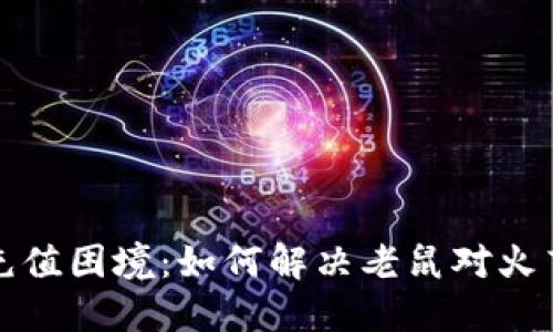 揭秘虚拟币充值困境：如何解决老鼠对火药的现实挑战
