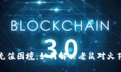 揭秘虚拟币充值困境：如何解决老鼠对