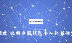 安全与便捷：比特币轻钱包导入私钥的