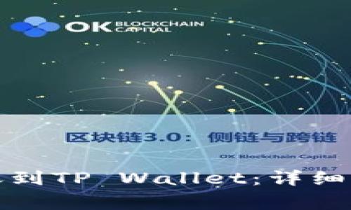 如何将火币转账到TP Wallet：详细步骤与注意事项