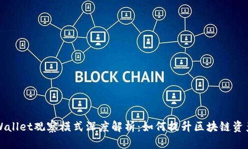### tpWallet观察模式深度解析：如何提升区块链资产管理效率