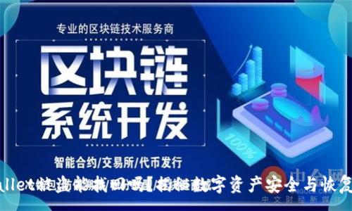 :
tpWallet被盗能找回吗？揭秘数字资产安全与恢复之道