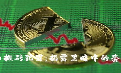虚拟币搬砖犯罪：揭露黑暗中的套利游戏