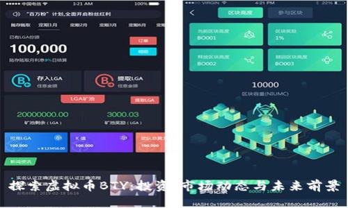探索虚拟币BTY：投资、市场动态与未来前景