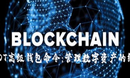 探索USDT高级钱包命令：管理数字资产的终极指南