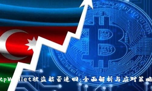 tpWallet被盗能否追回：全面解析与应对策略