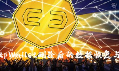 如何应对tpWallet删除后的数据恢复与安全保障