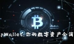 探秘tpWallet：你的数字资产会消失吗？
