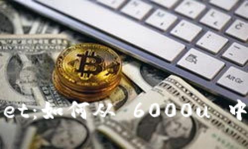 探索 TP Wallet：如何从 6000u 中获取最大价值