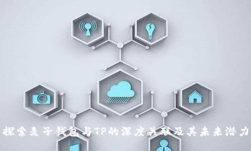 探索麦子钱包与TP的深度关联及其未来潜力