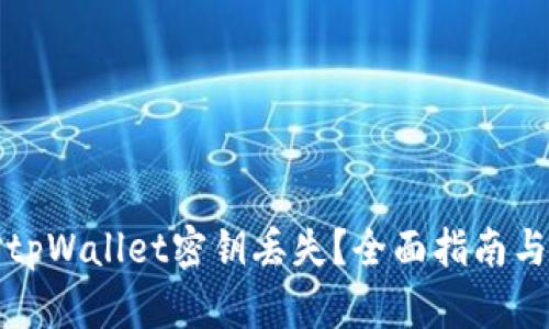 如何应对tpWallet密钥丢失？全面指南与解决方案