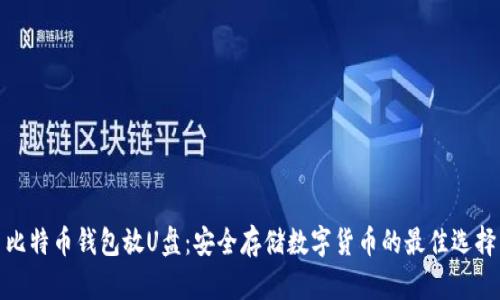 比特币钱包放U盘：安全存储数字货币的最佳选择