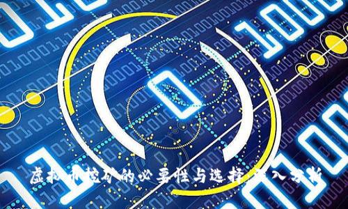 虚拟币挖矿的必要性与选择：深入分析