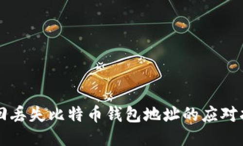 找回丢失比特币钱包地址的应对指南