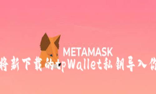 如何安全地将新下载的tpWallet私钥导入你的数字钱包