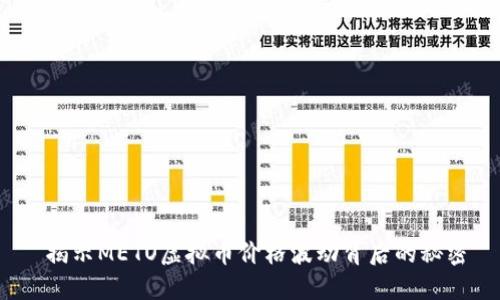  揭示METO虚拟币价格波动背后的秘密