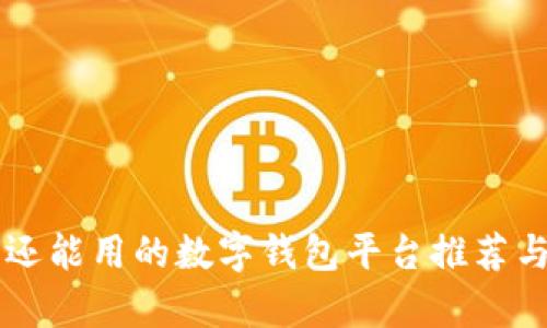 国内还能用的数字钱包平台推荐与解析