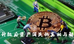 TP钱包升级后资产消失的真相与解决方