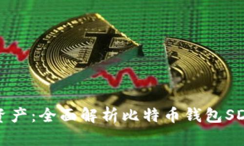 构建您的数字资产：全面解析比特币钱包SDK的应用与发展
