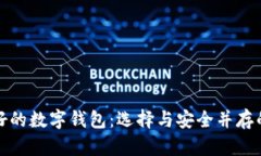世界目前最好的数字钱包：选择与安全