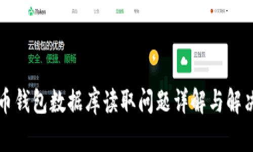 比特币钱包数据库读取问题详解与解决方案