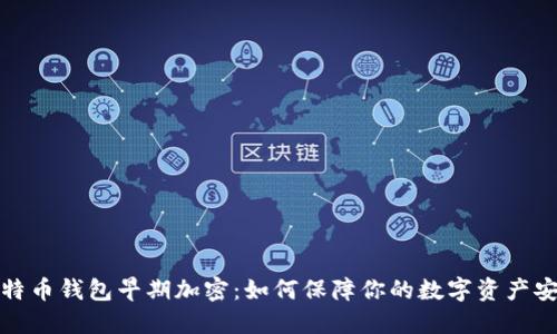 比特币钱包早期加密：如何保障你的数字资产安全