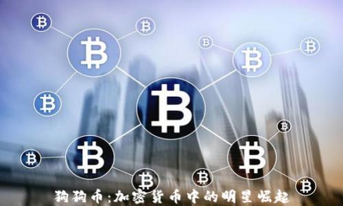 
狗狗币：加密货币中的明星崛起