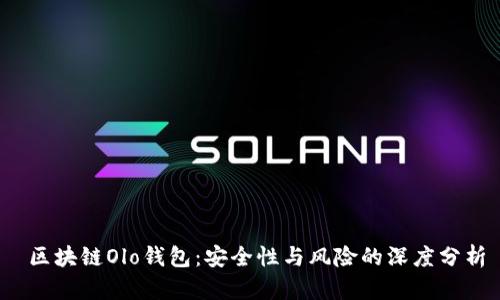  区块链Olo钱包：安全性与风险的深度分析