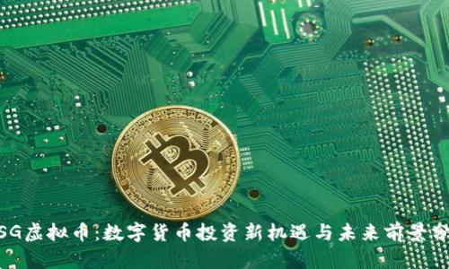 WSG虚拟币：数字货币投资新机遇与未来前景分析