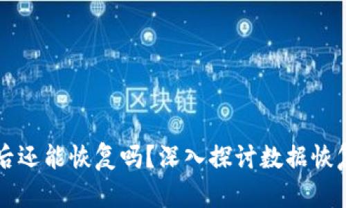 tpWallet被删除后还能恢复吗？深入探讨数据恢复的可能性和方法