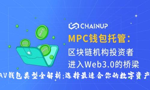 区块链XAV钱包类型全解析：选择最适合你的数字资产存储方案