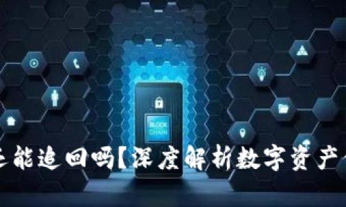 tpWallet被盗还能追回吗？深度解析数字资产保护与追索过程