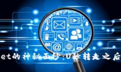 破解tpWallet的神秘面纱：U秒转走之后的