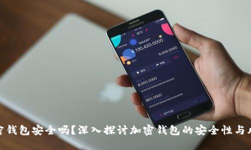 加密钱包安全吗？深入探讨加密钱包的安全性与风险
