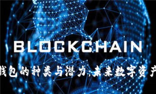 探索以太坊钱包的种类与潜力：未来数字资产的管理之道