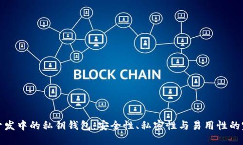 区块链开发中的私钥钱包：安全性、私密性与易用性的完美结合