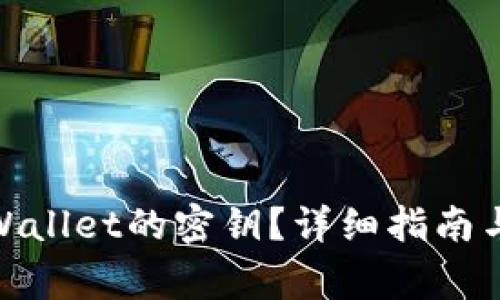 : 如何查看tpWallet的密钥？详细指南与常见问题解答