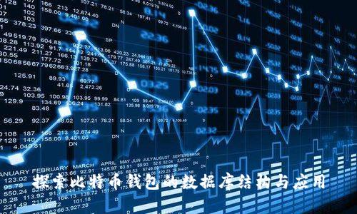 探索比特币钱包的数据库结构与应用