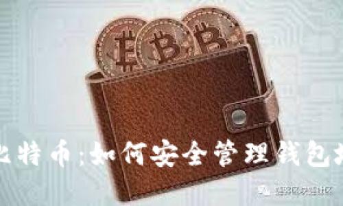 深入了解比特币：如何安全管理钱包地址与密码