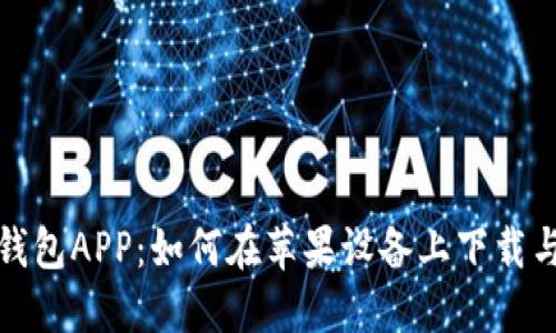 数字货币钱包APP：如何在苹果设备上下载与安装指南