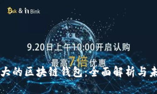 全球最大的区块链钱包：全面解析与未来展望