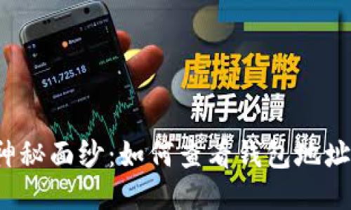  揭开区块链的神秘面纱：如何查看钱包地址余额及交易记录