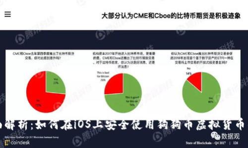 全面解析：如何在iOS上安全使用狗狗币虚拟货币钱包