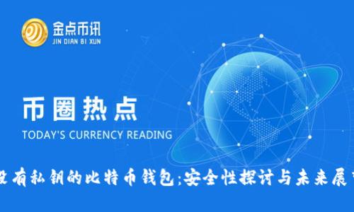 没有私钥的比特币钱包：安全性探讨与未来展望